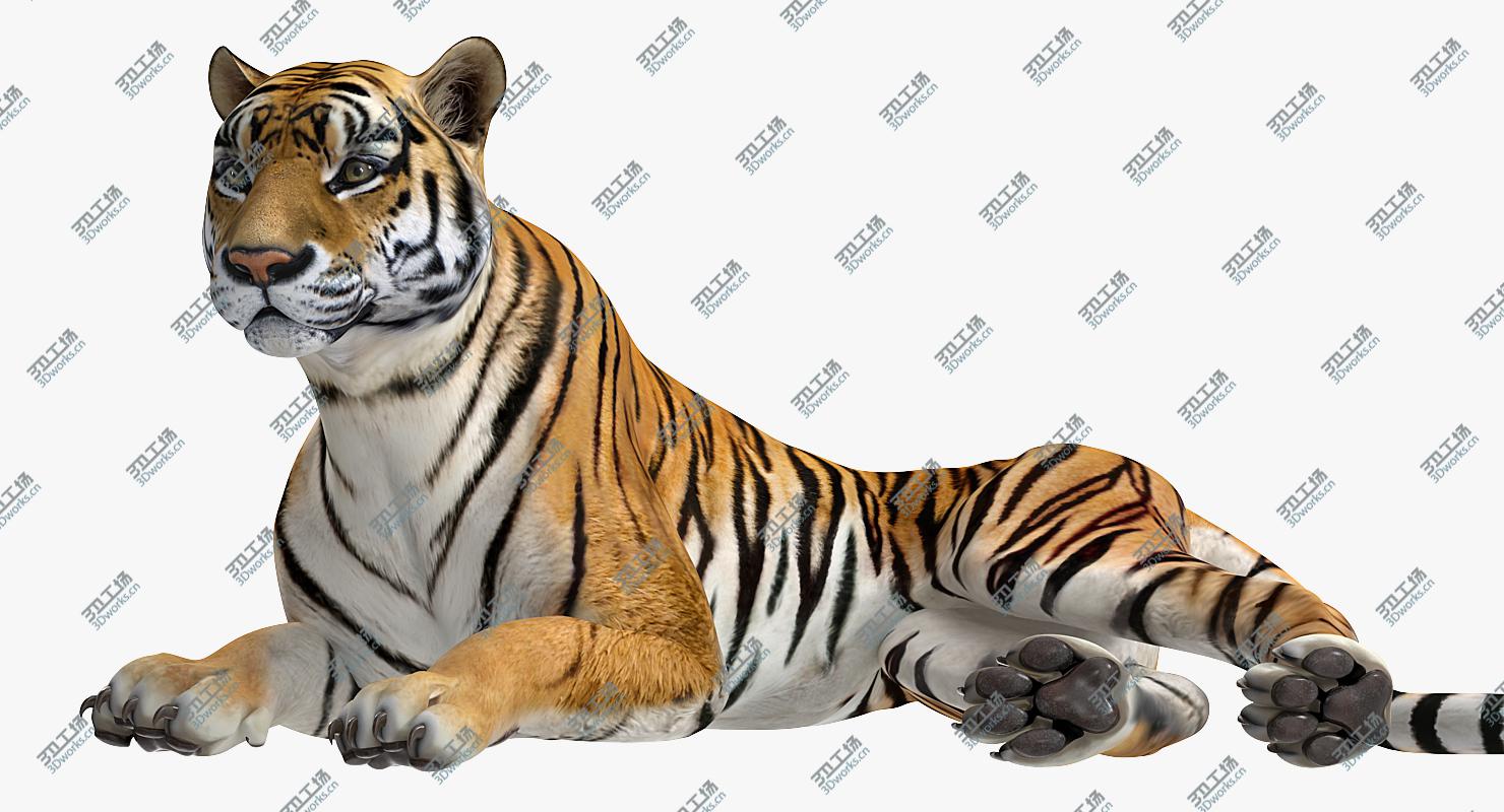 images/goods_img/202104021/3D model Lying Tiger/2.jpg